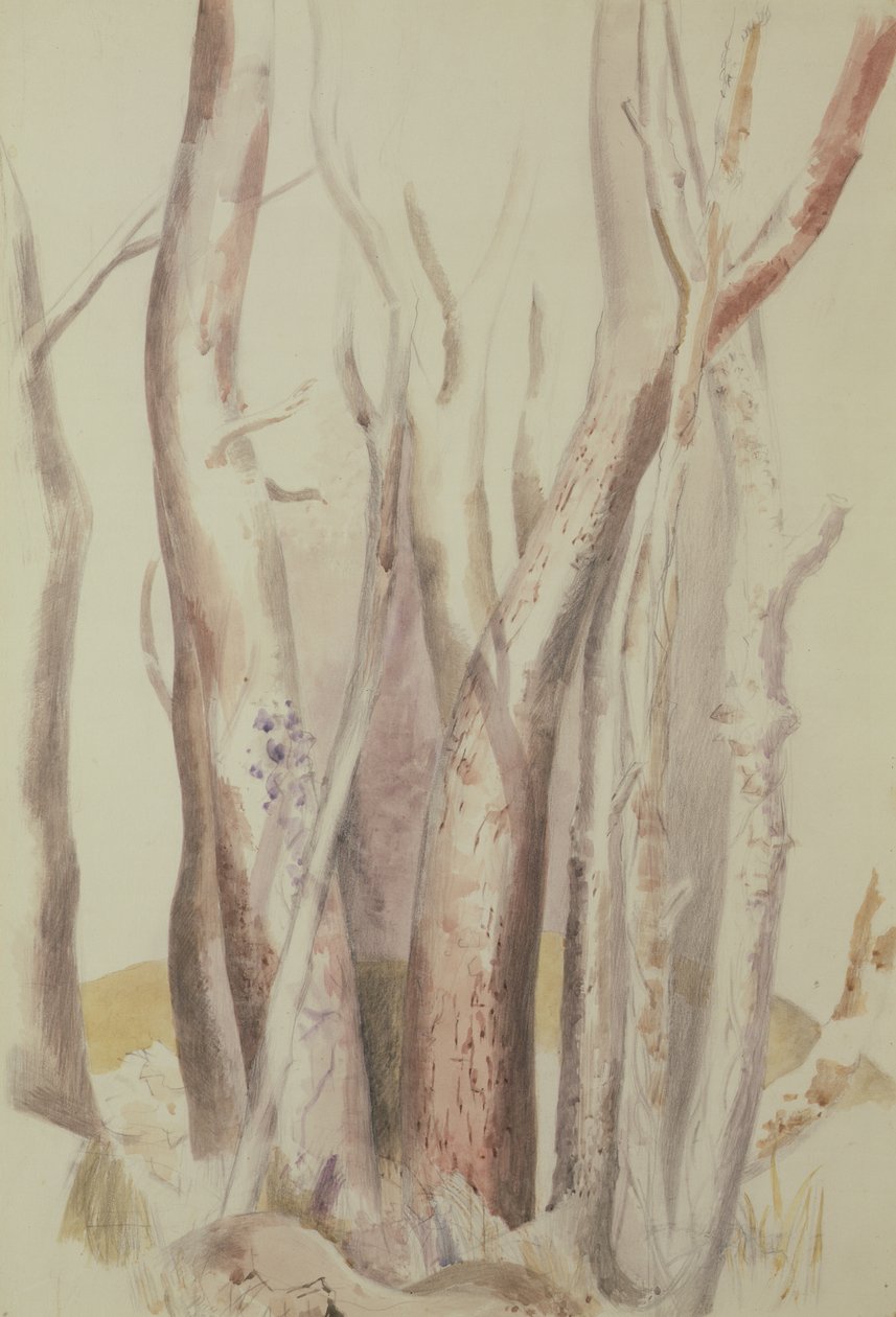 Studie af et skovklædt landskab af Paul Nash