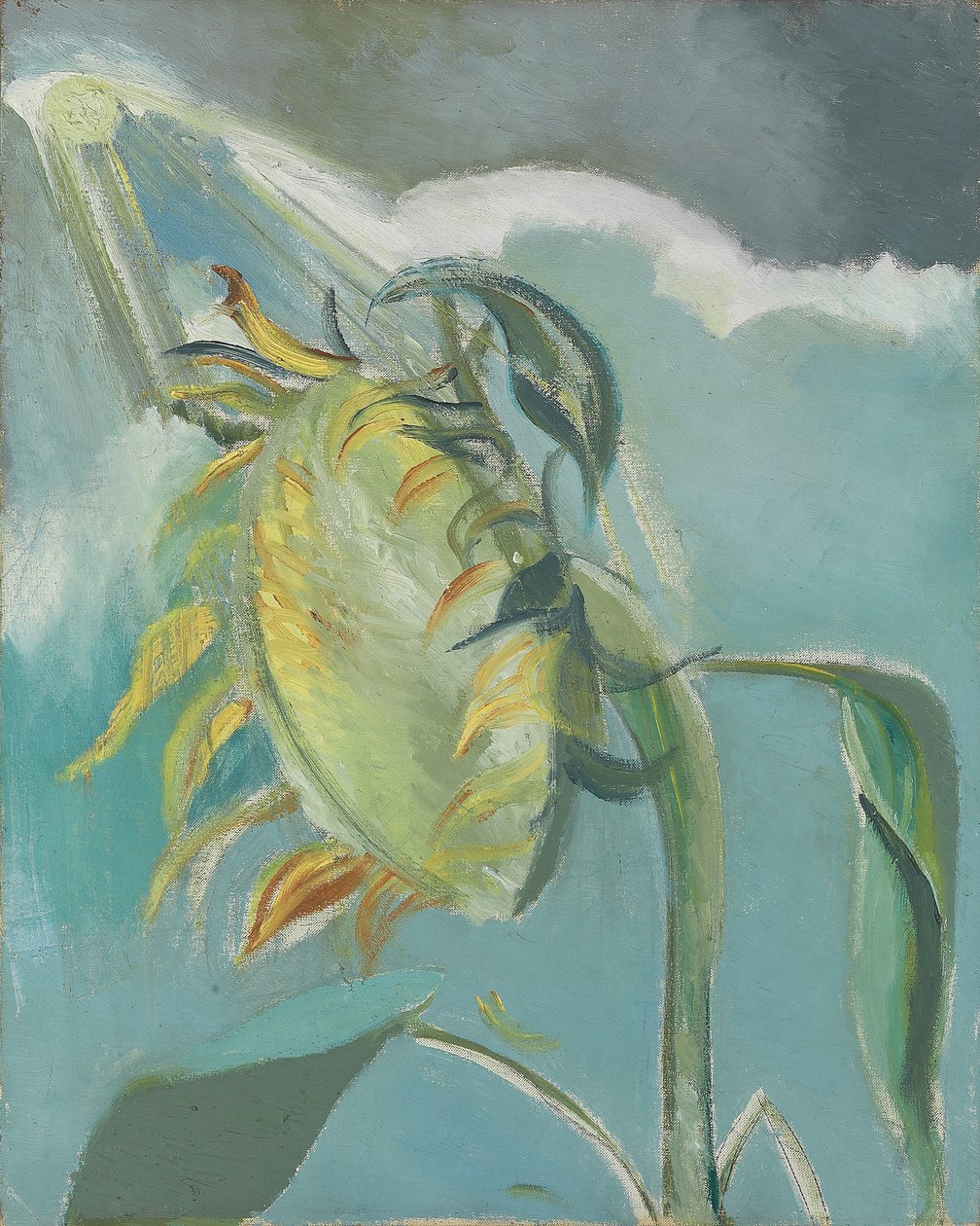 Solsikke og sol, ca. 1945 (olie på lærred) af Paul Nash