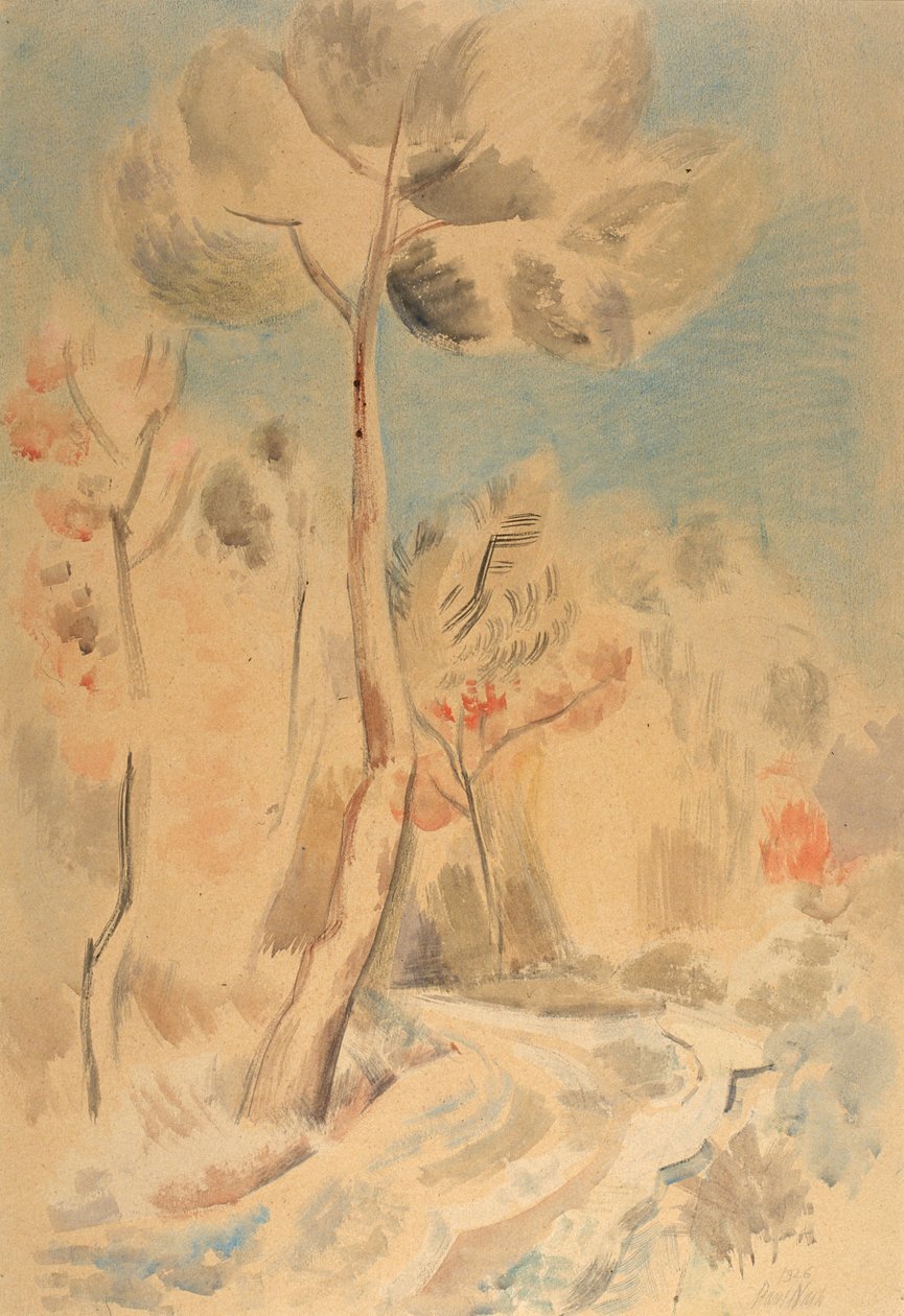 Fyrren (blyant og akvarel på papir) af Paul Nash
