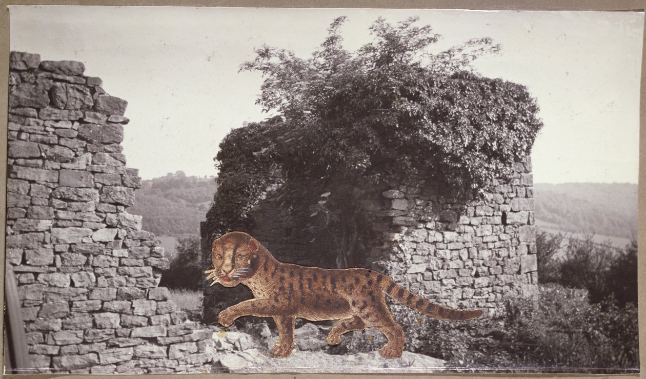 Tiger, Tiger, ca. 1938 (collage) af Paul Nash