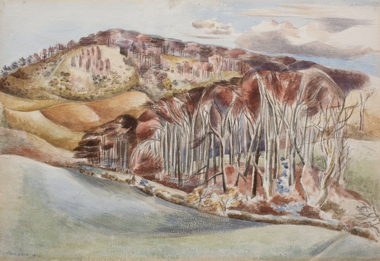 Wood og Hill af Paul Nash