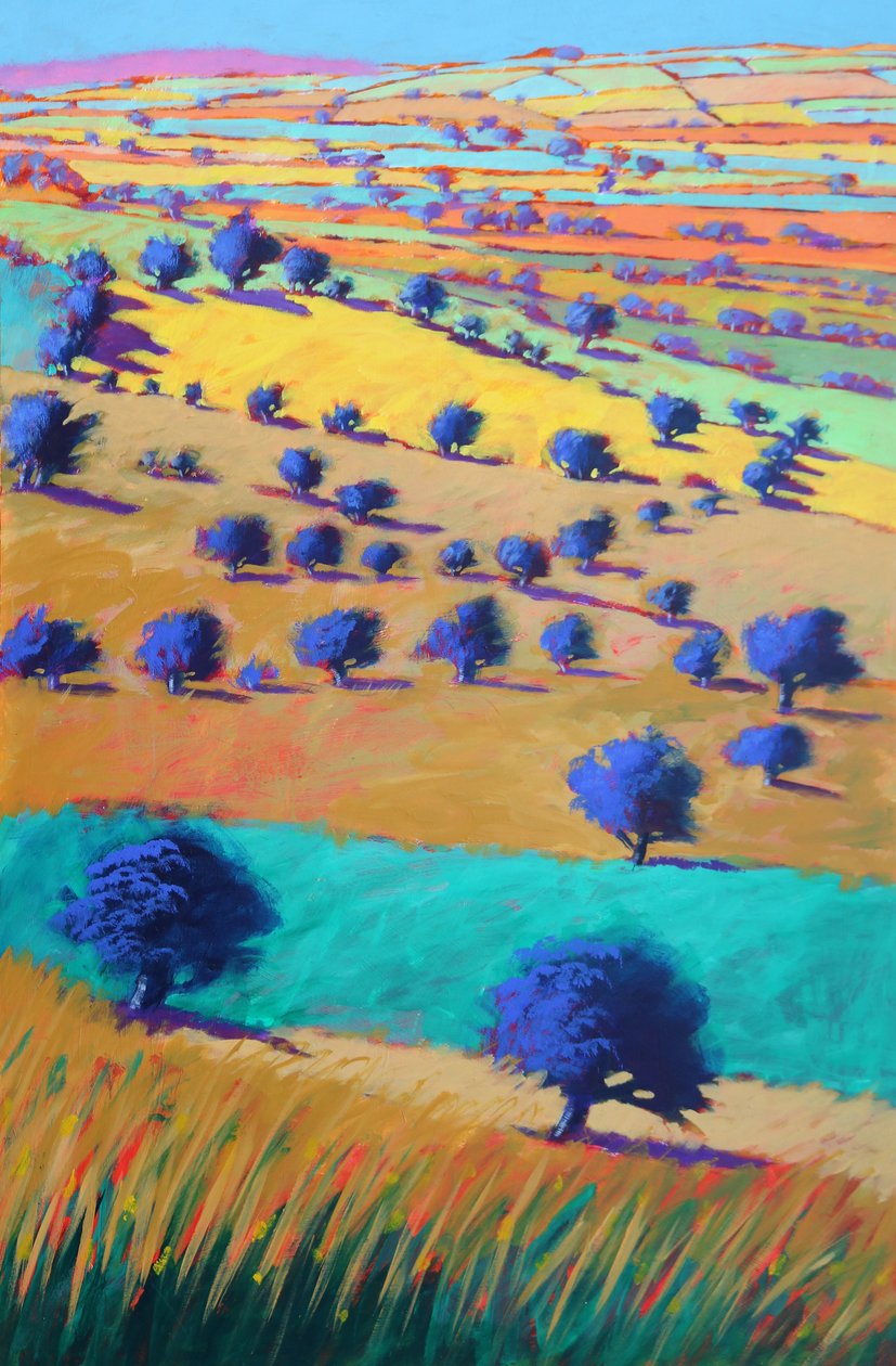Cotswolds Towards Bredon, 2021 (akryl på plade) af Paul Powis