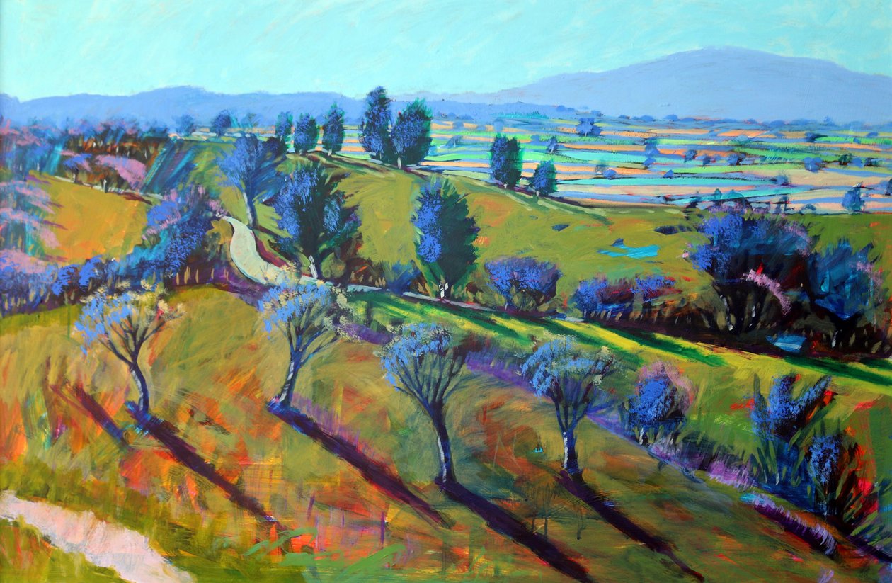 Crickley Hill Spring af Paul Powis