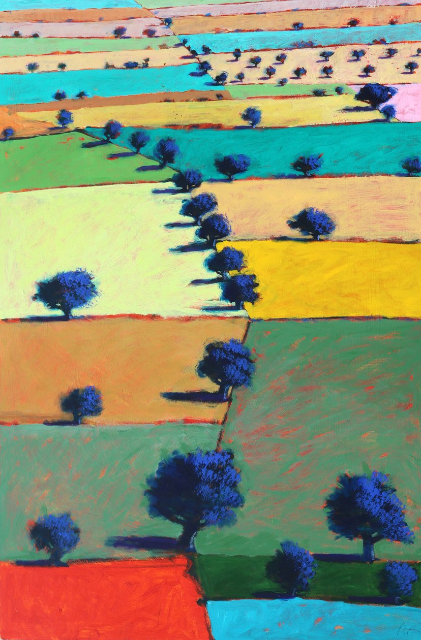 Severn Plain, 2022 (akryl på plade) af Paul Powis