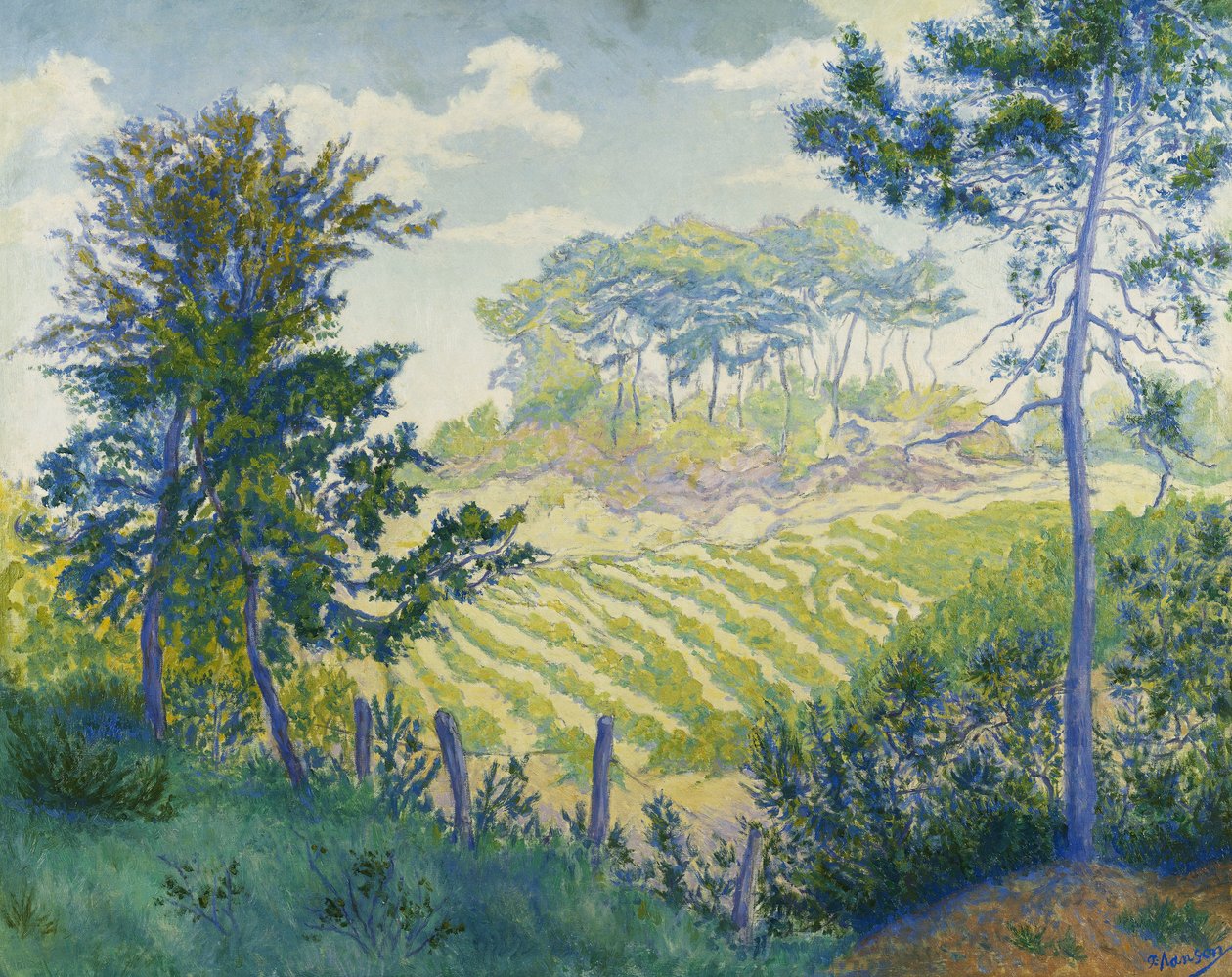 Vinmarker under Pines; Vinmarkerne under Pines, ca. 1898 af Paul Elie Ranson