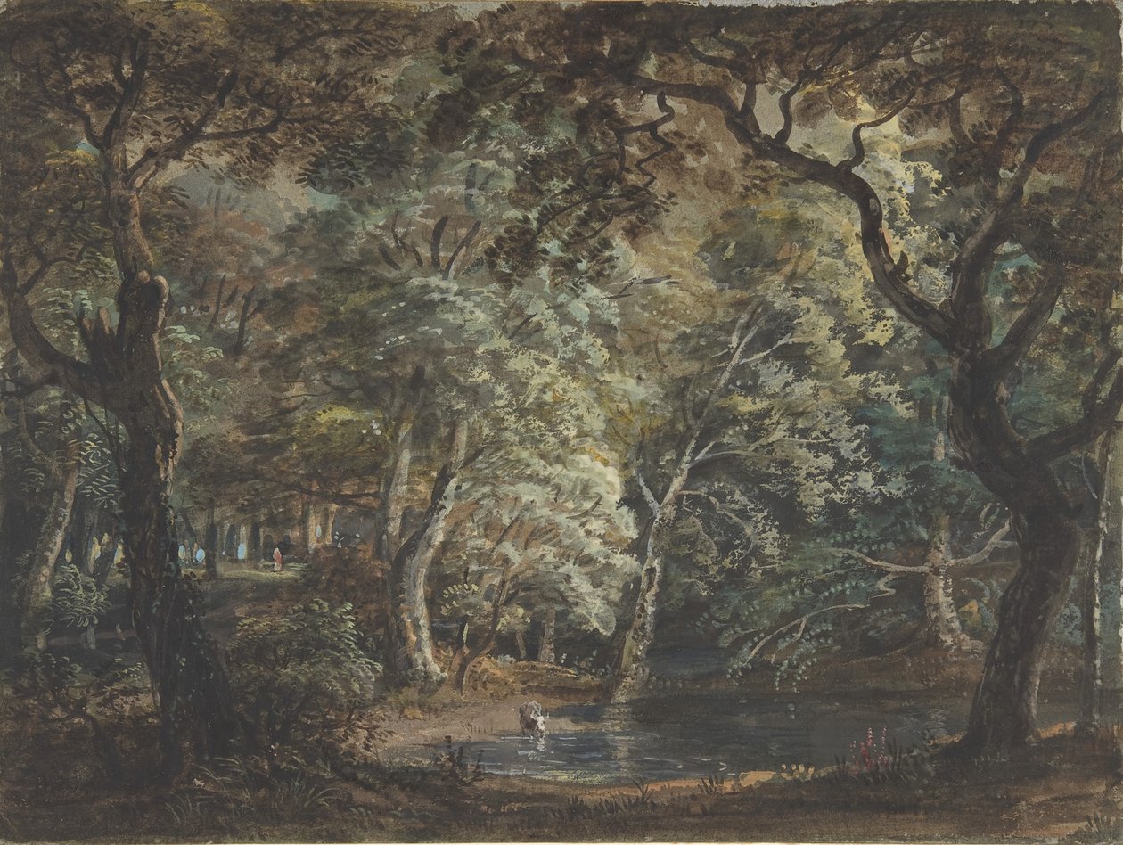 Windsor Great Park, 1790-99. af Paul Sandby
