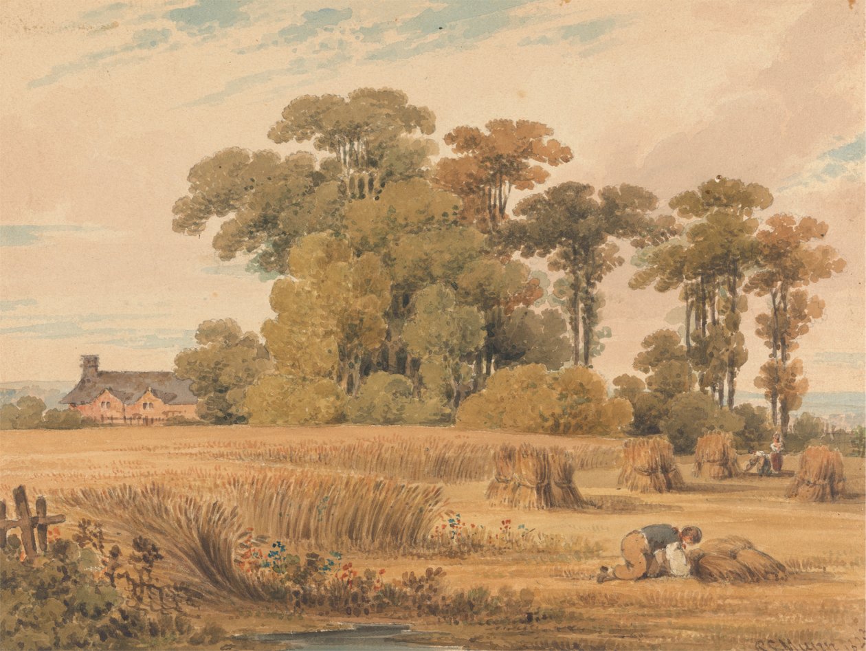 En Kornmark af Paul Sandby Munn