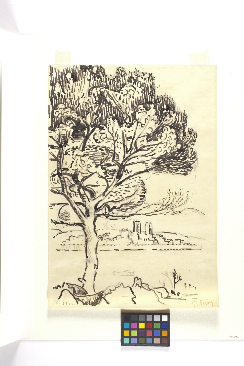 Antibes, Umbrella Pine In The Foreground (Antibes, Pin Pignon Au Premier Plan) (sort blækketegning med sort blyant på brunt vævet papir) af Paul Signac