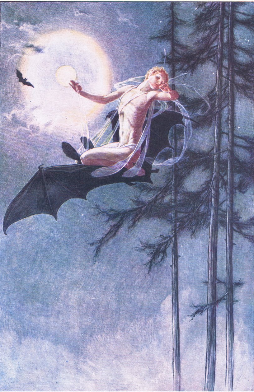 På flagermusens ryg flyver jeg, illustration fra The Tempest, 1908 af Paul Vincent Woodroffe