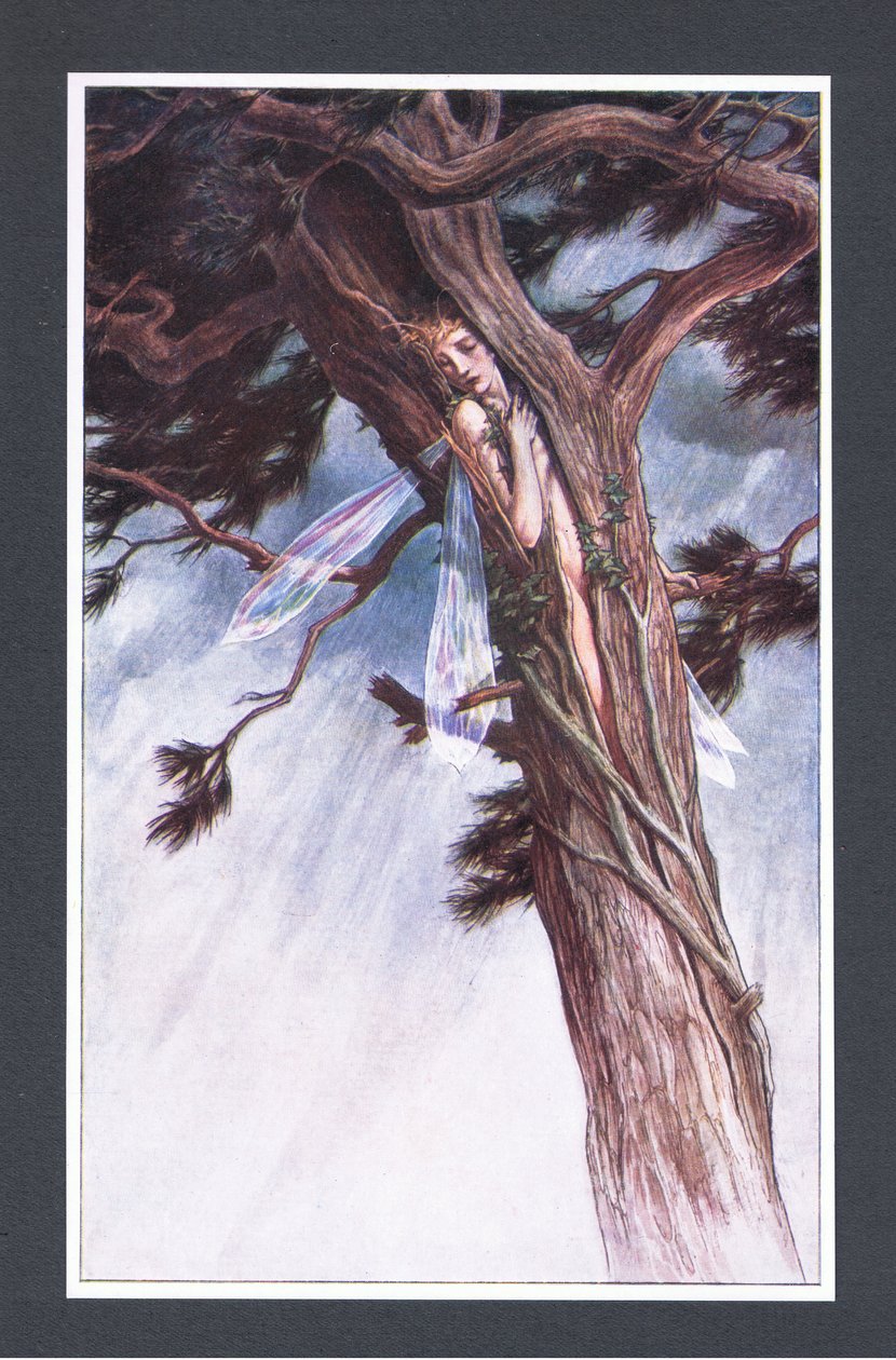 Hun indespærrede dig, ved hjælp af sine mest magtfulde præster og i sit mest ufortrødent raseri, i en spaltet fyrretræ, illustration fra The Tempest, 1908 af Paul Vincent Woodroffe