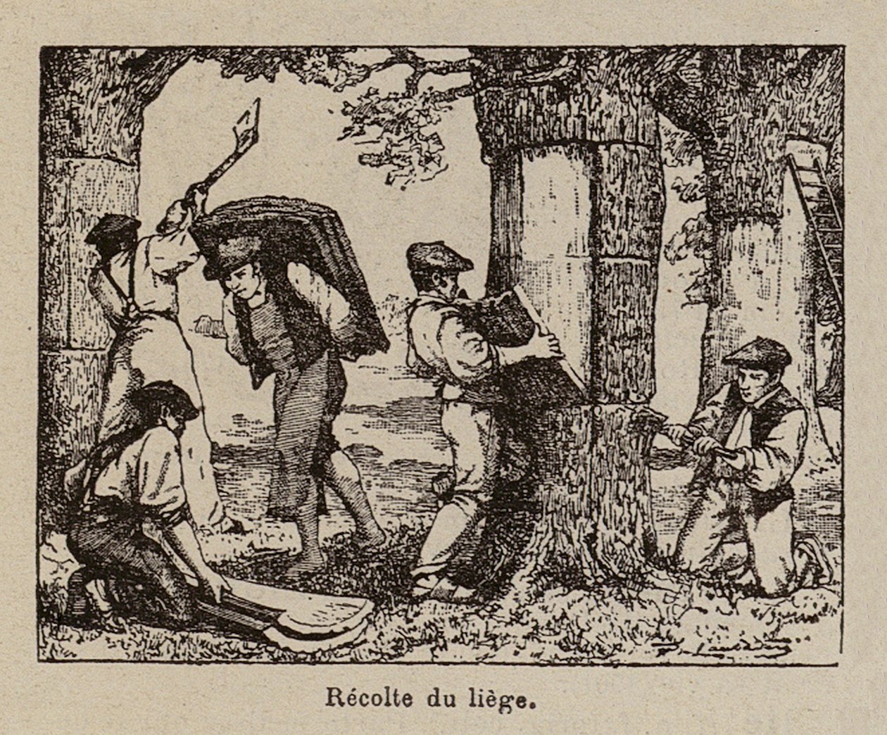  af Paul de Laubadere