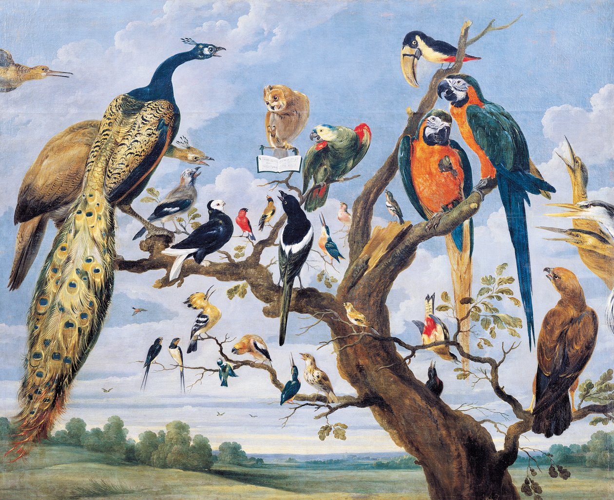 Koncert af fugle, af Paul de Vos (ca. 1591-1678), Holland af Paul De Vos