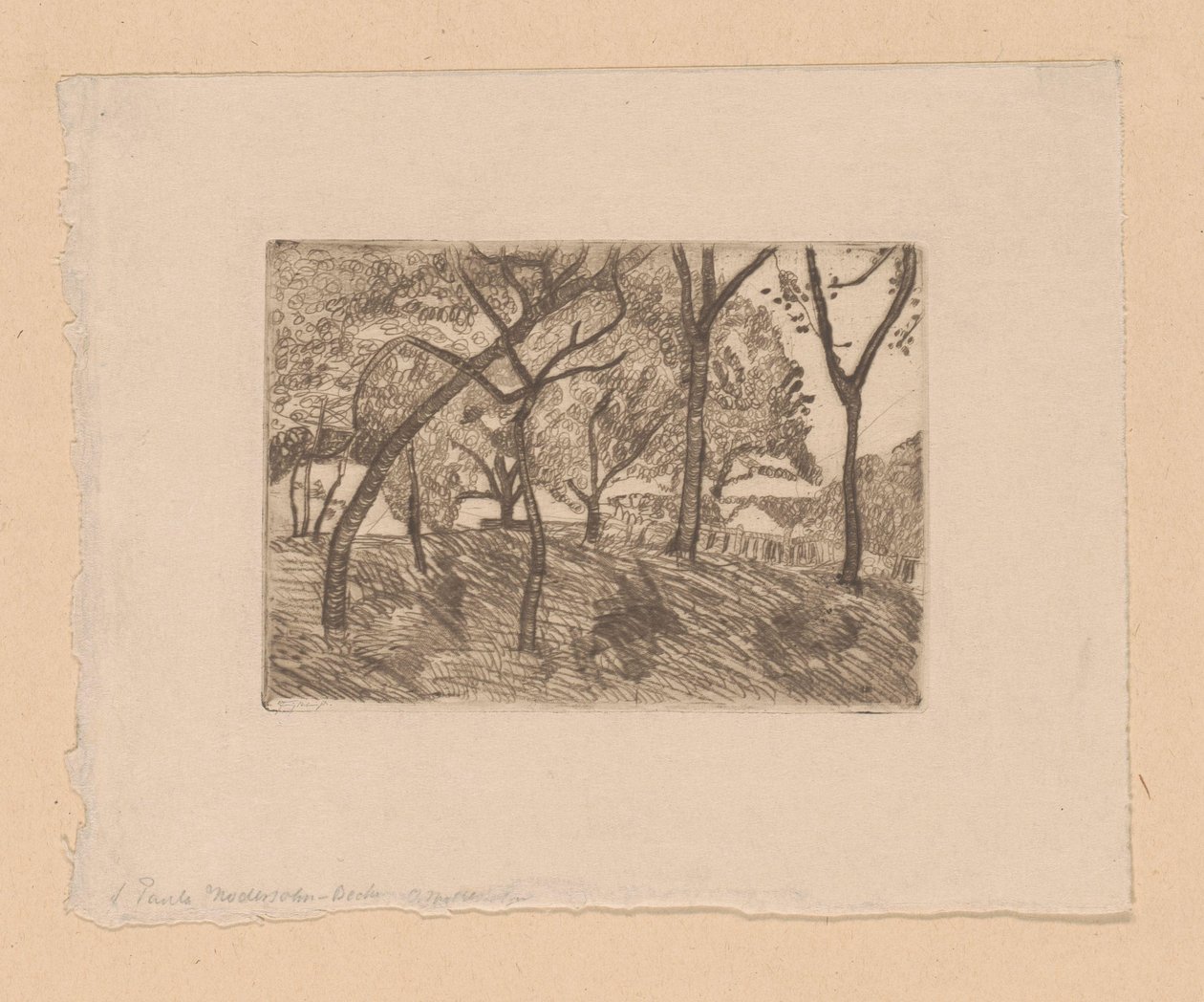 skov udsigt af Paula Modersohn Becker (signed by artist)