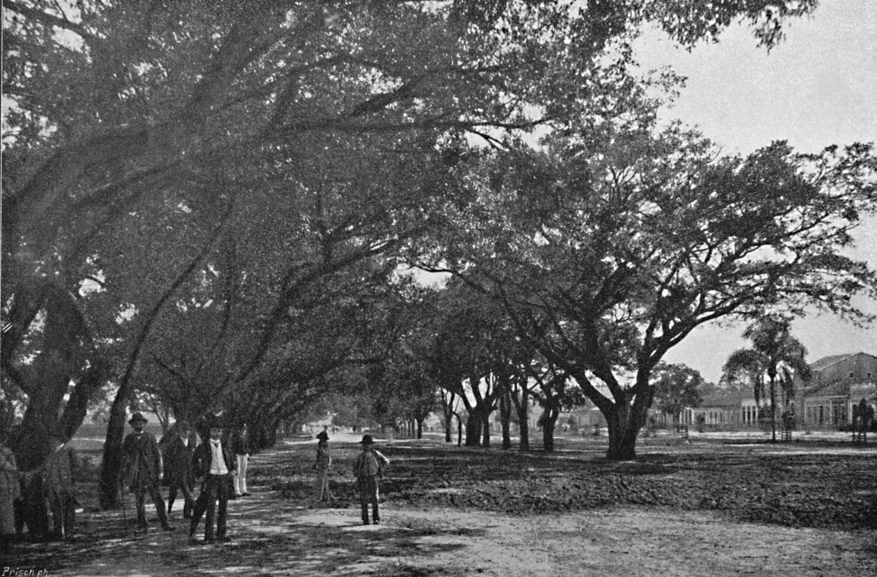 Avenida de Tiradentes, 1895 af Paulo Kowalsky
