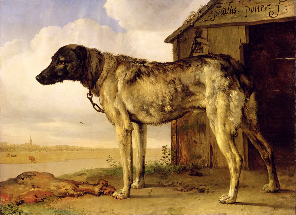 Hund på en kæde, 1653-4 af Paulus Potter