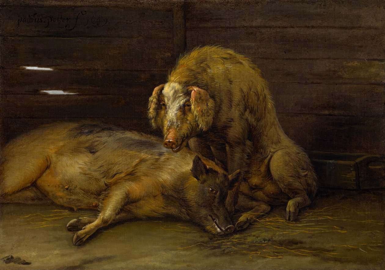 To Svin i en Sty, 1649 af Paulus Potter