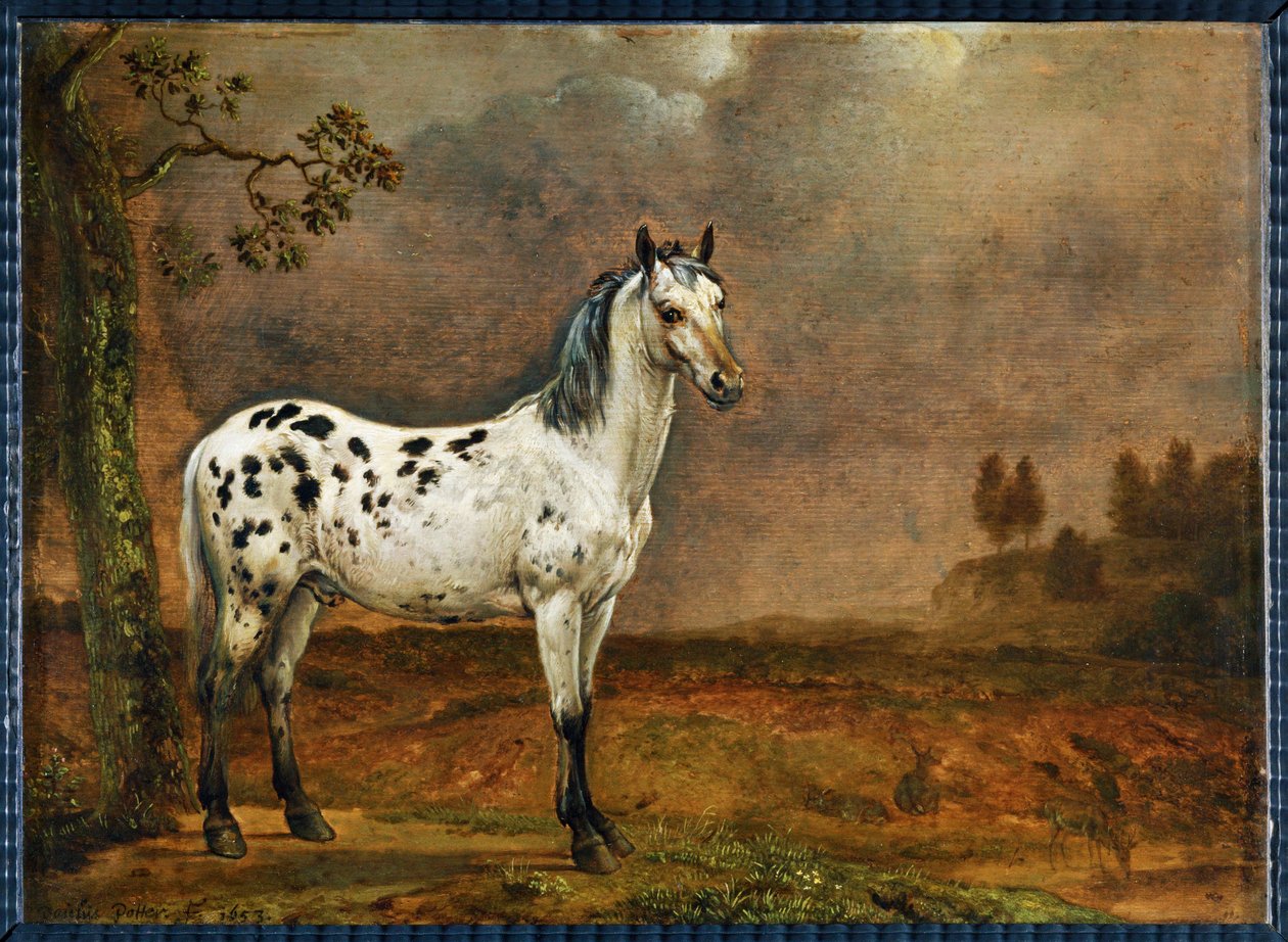 Le cheval pie - den plettede hest ... af Paulus (attr.to) Potter