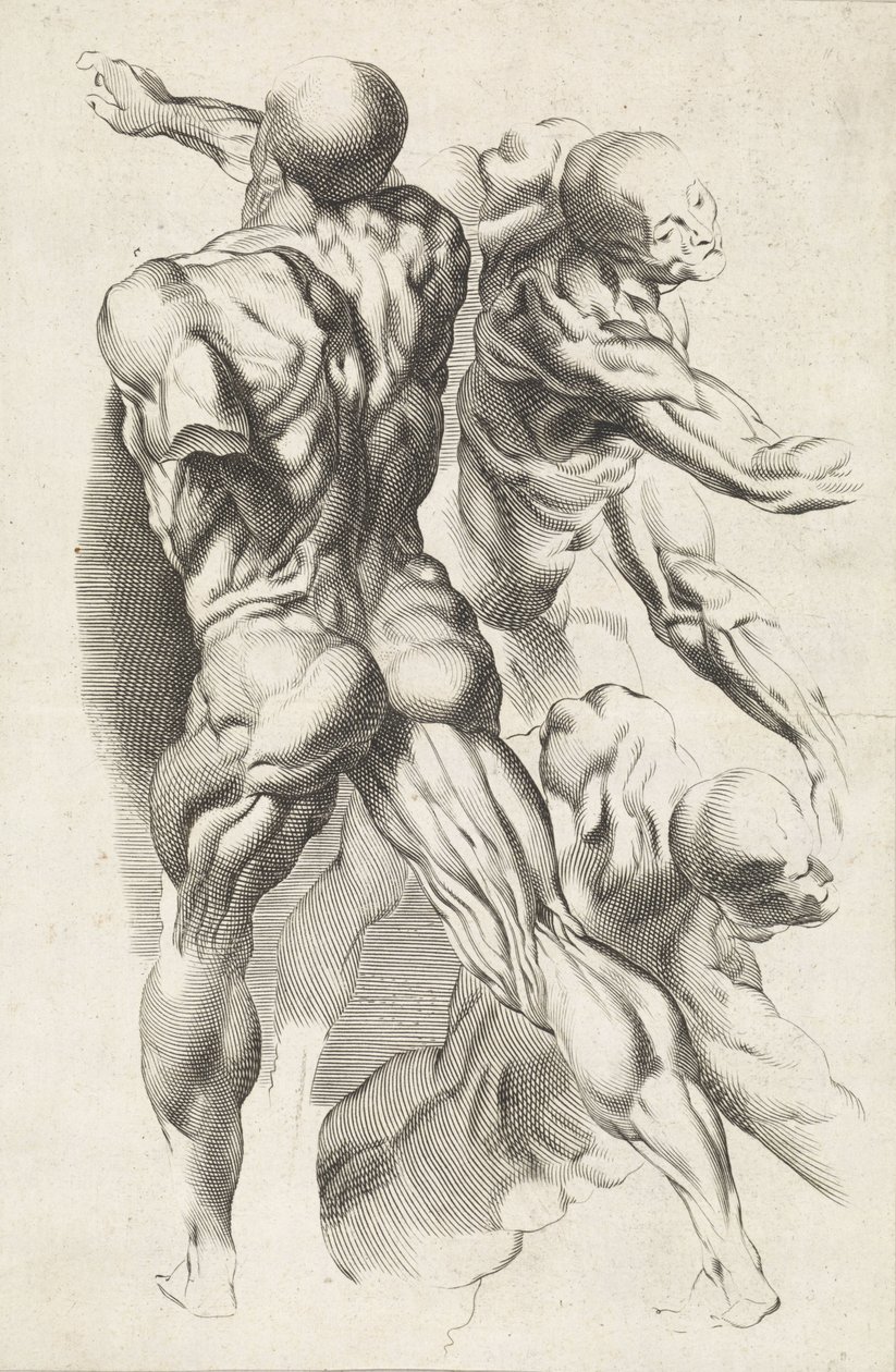 Anatomisk undersøgelse af tre figurer med strakte arme Tegnebogen af ​​Peter Paul Rubens (serietitel) af Paulus Pontius