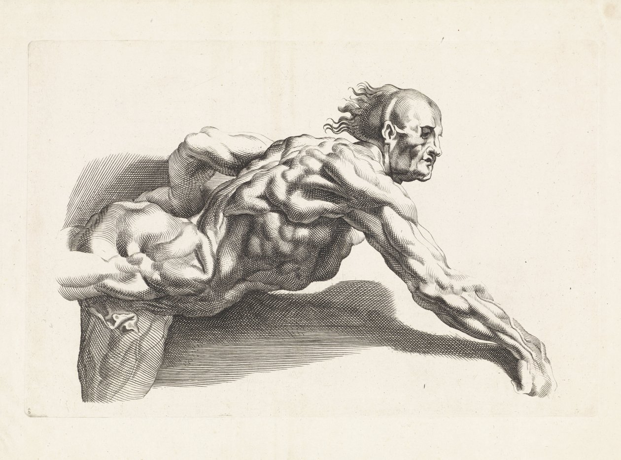 Anatomisk undersøgelse af lænende mand Tegnebogen af ​​Peter Paul Rubens (serietitel) af Paulus Pontius