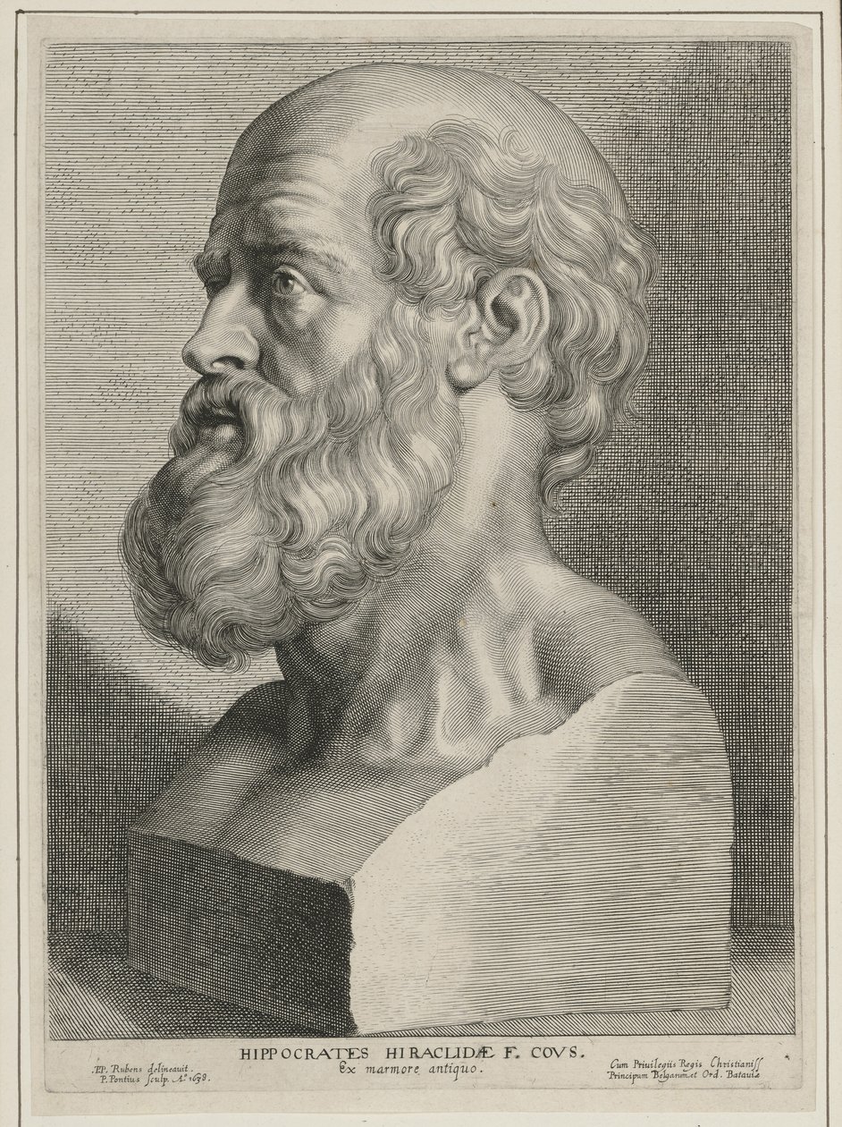 Hippokrates af Paulus Pontius