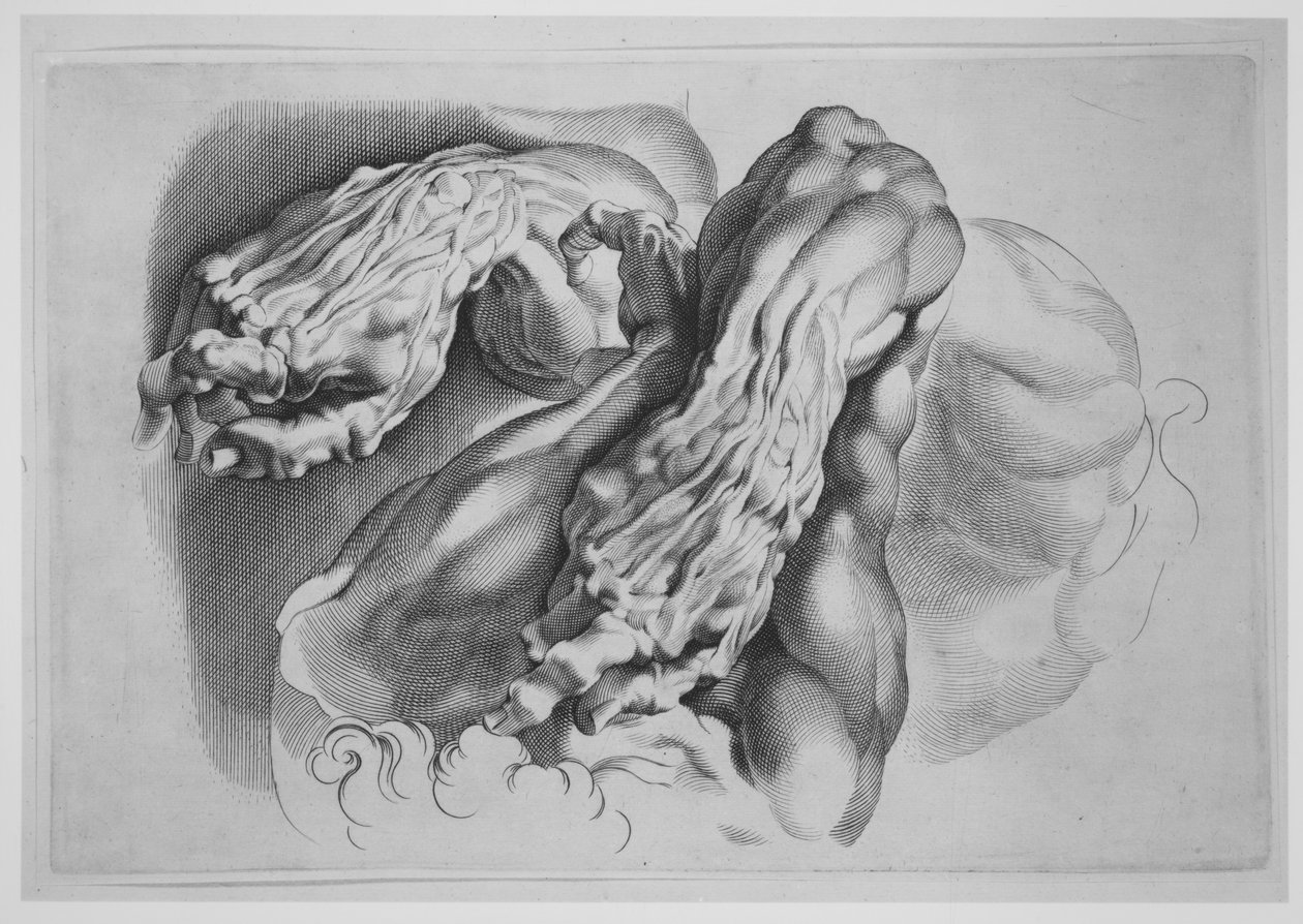 Tre studier af Écorchés, efter 1640., efter 1640. af Paulus Pontius