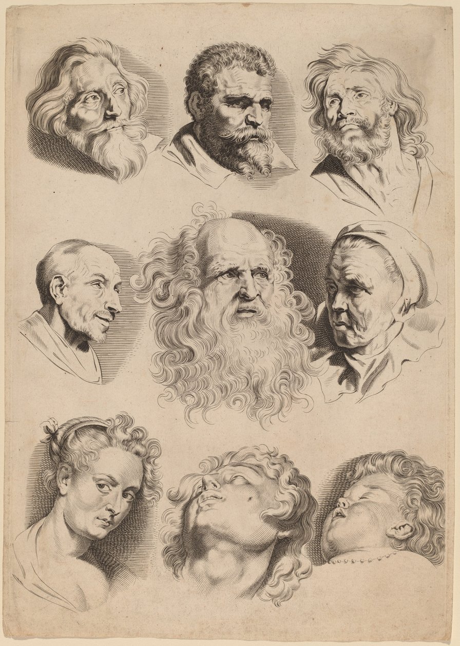 Ni hoveder af Paulus Pontius after Sir Peter Paul Rubens