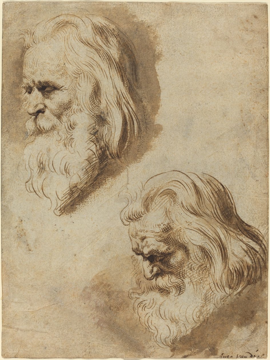 To undersøgelser af en ældre mands hoved af Paulus Pontius after Sir Peter Paul Rubens
