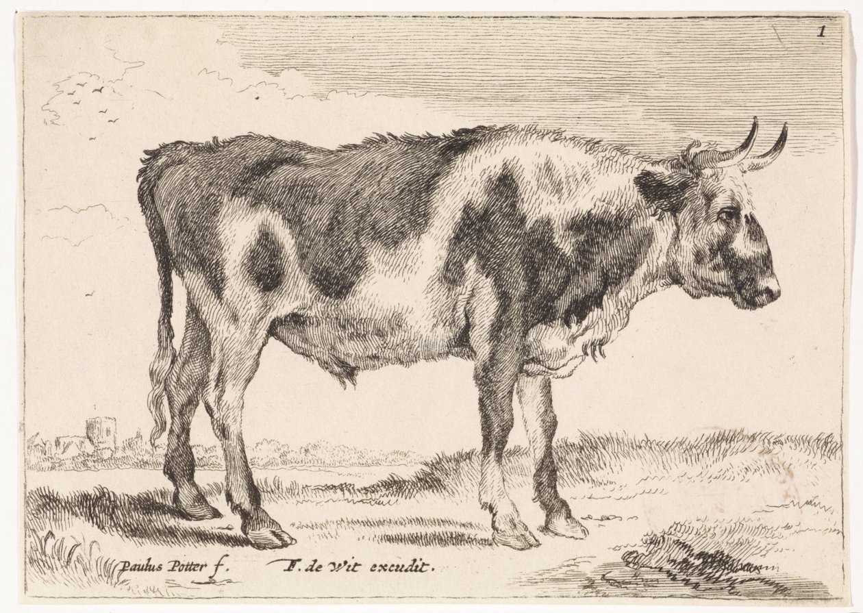 plettet okse Okser og køer (serietitel) af Paulus Potter (rejected attribution)