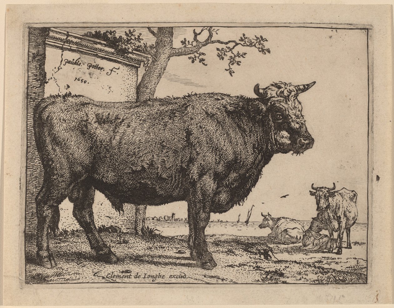 Tyr af Paulus Potter