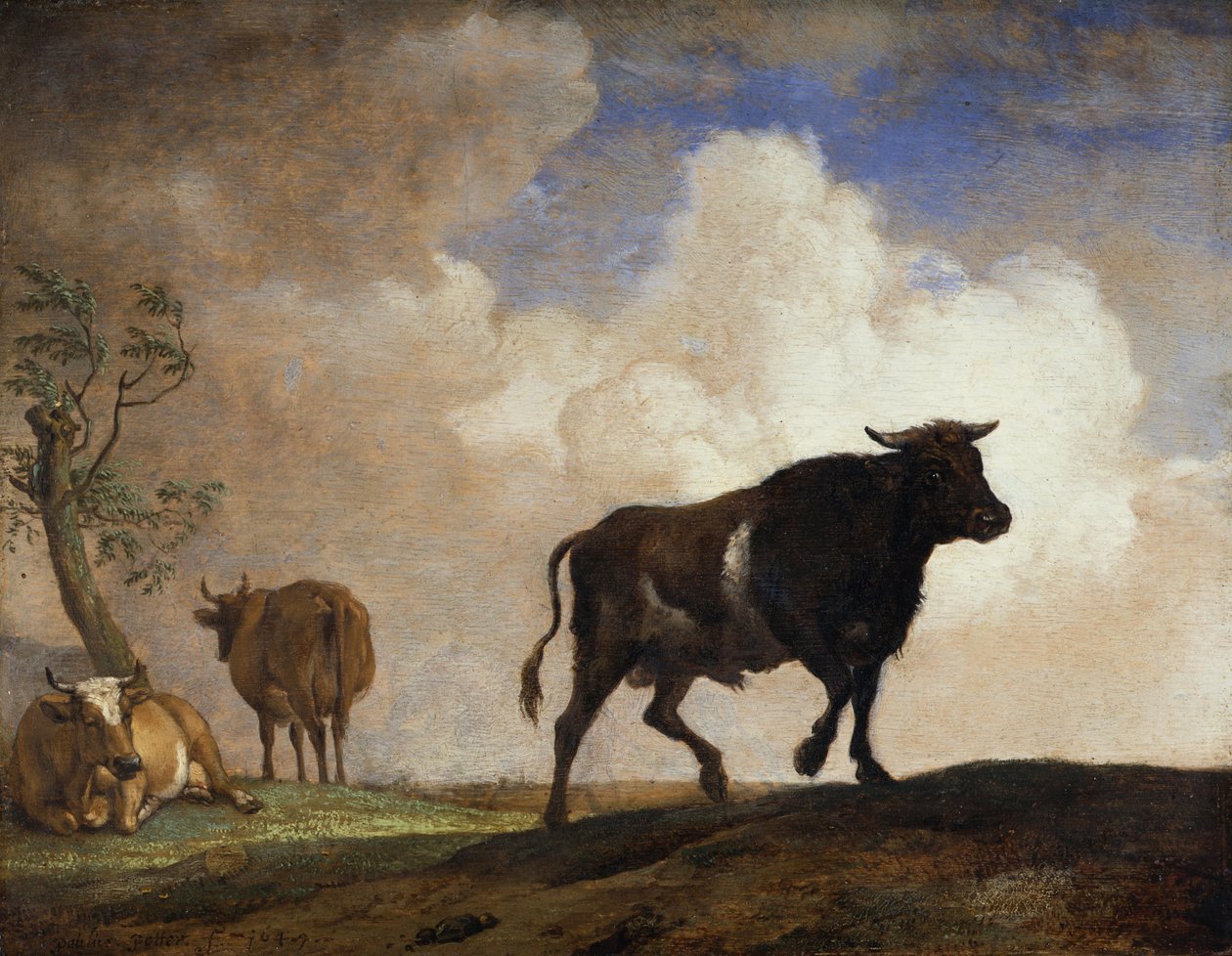 Tyren af Paulus Potter