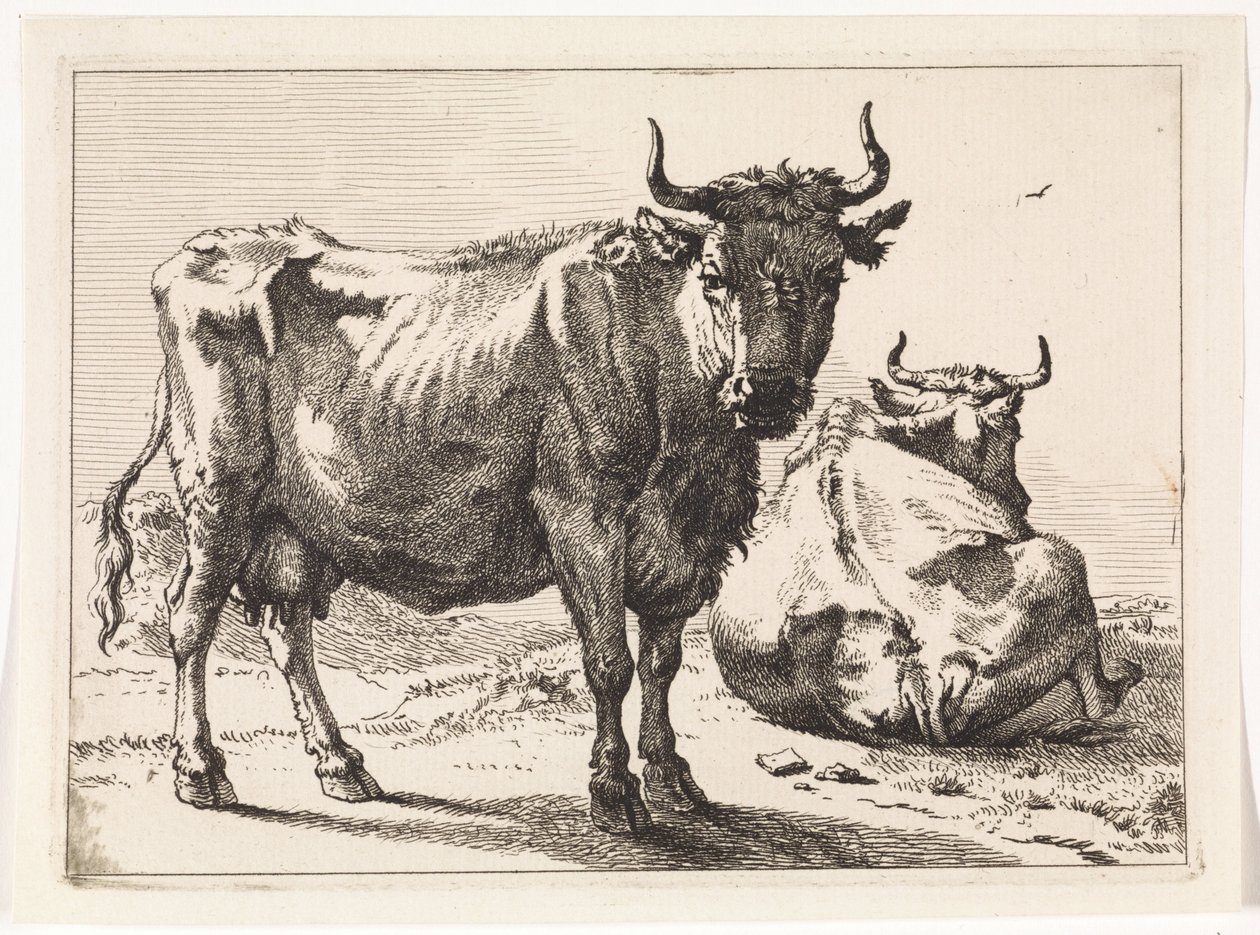 En stående og en liggende ko The Bullen-hæftet (serietitel) af Paulus Potter