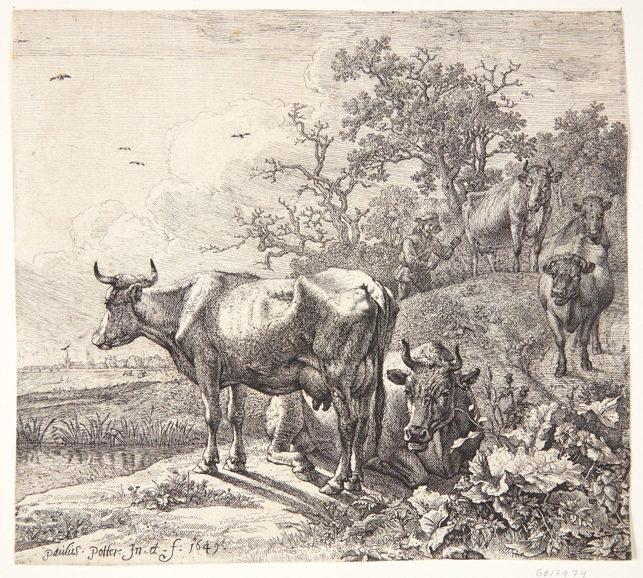 Kohyrden af Paulus Potter