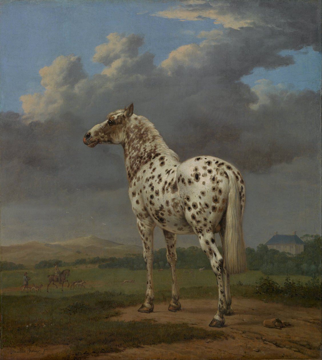 Piebald Horse, ca 1654 af Paulus Potter