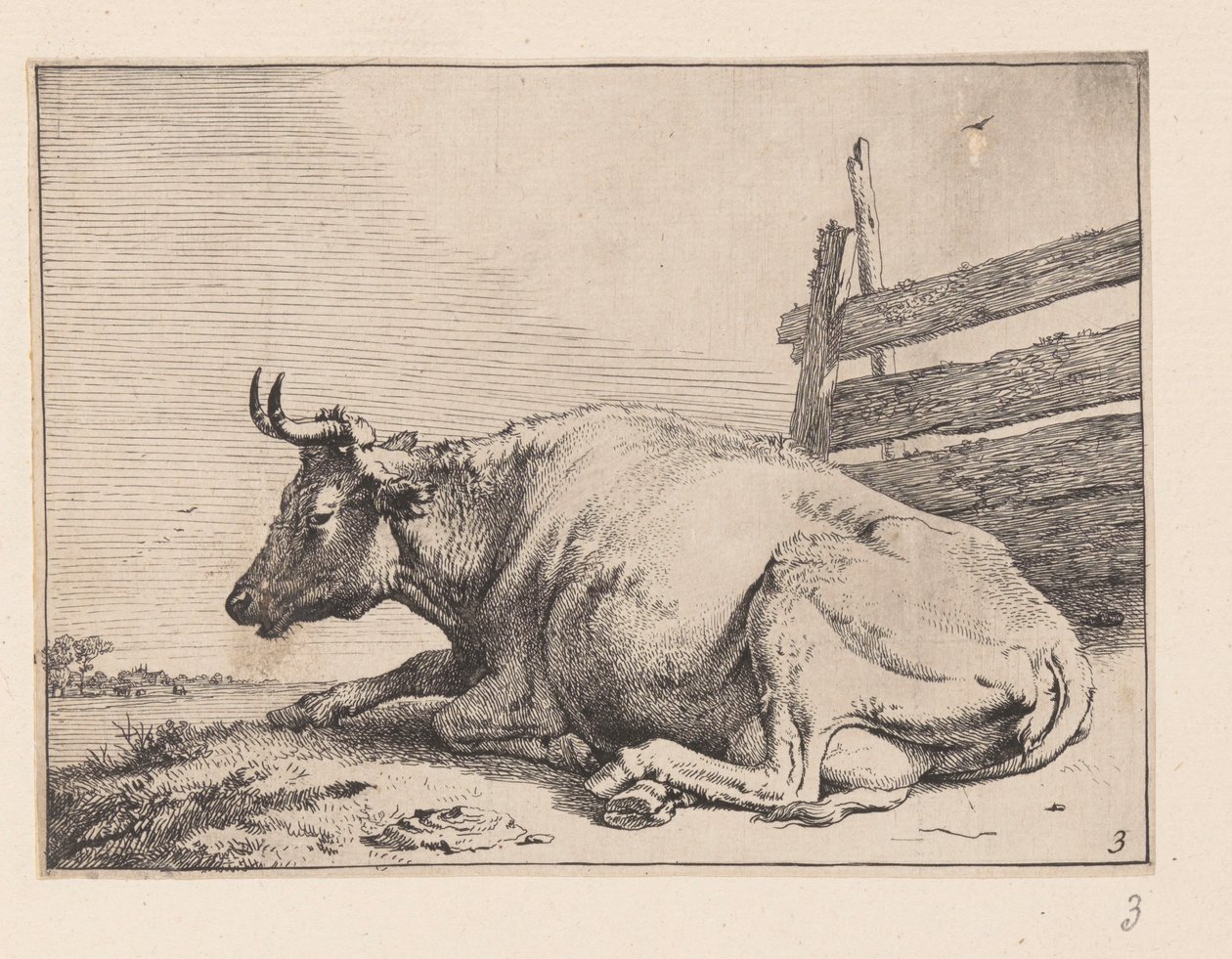 Koen, der ligger ned ved et hegn, fra Forskellige okser og køer af Paulus Potter