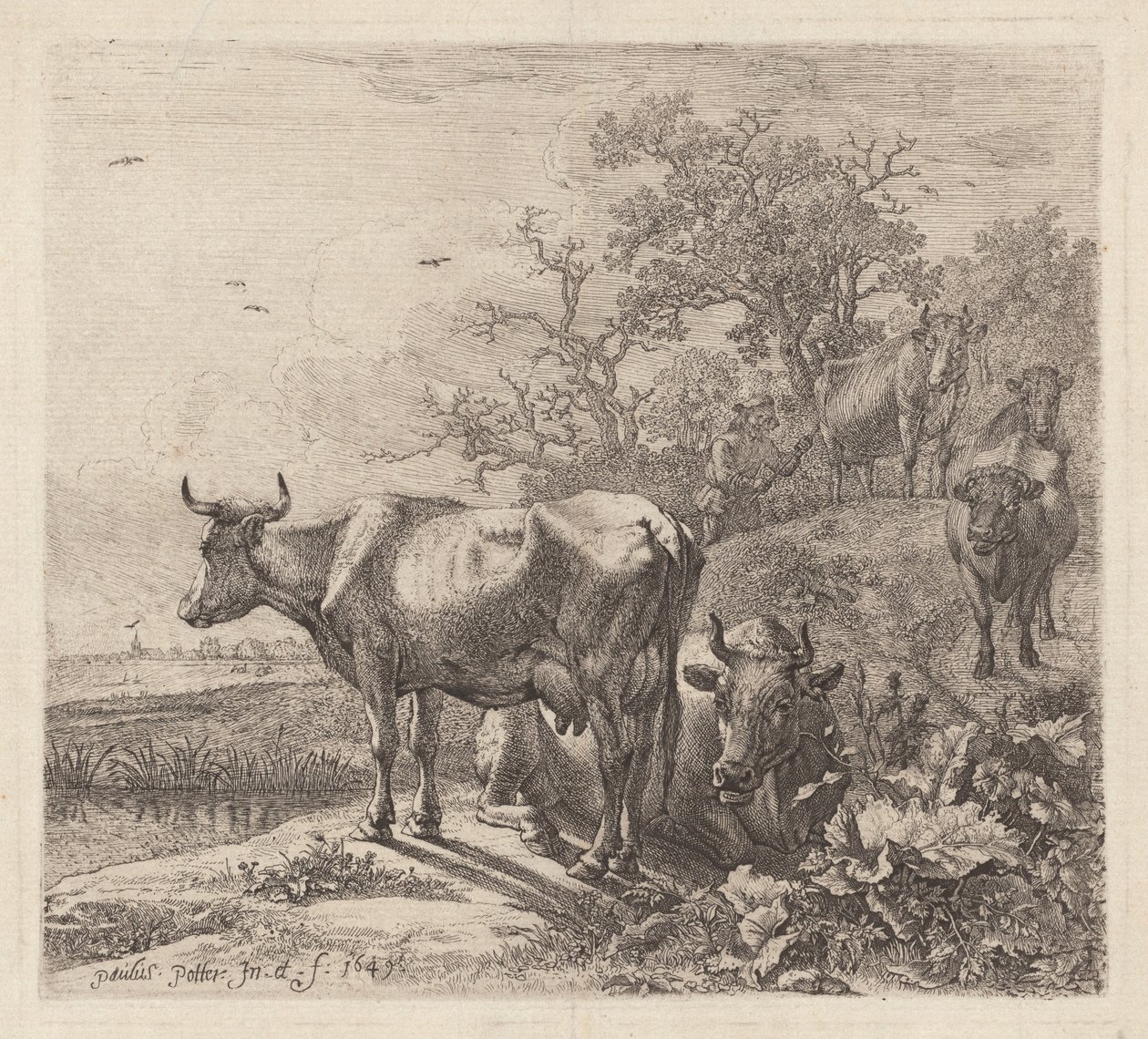 Kohyrden af Paulus Potter
