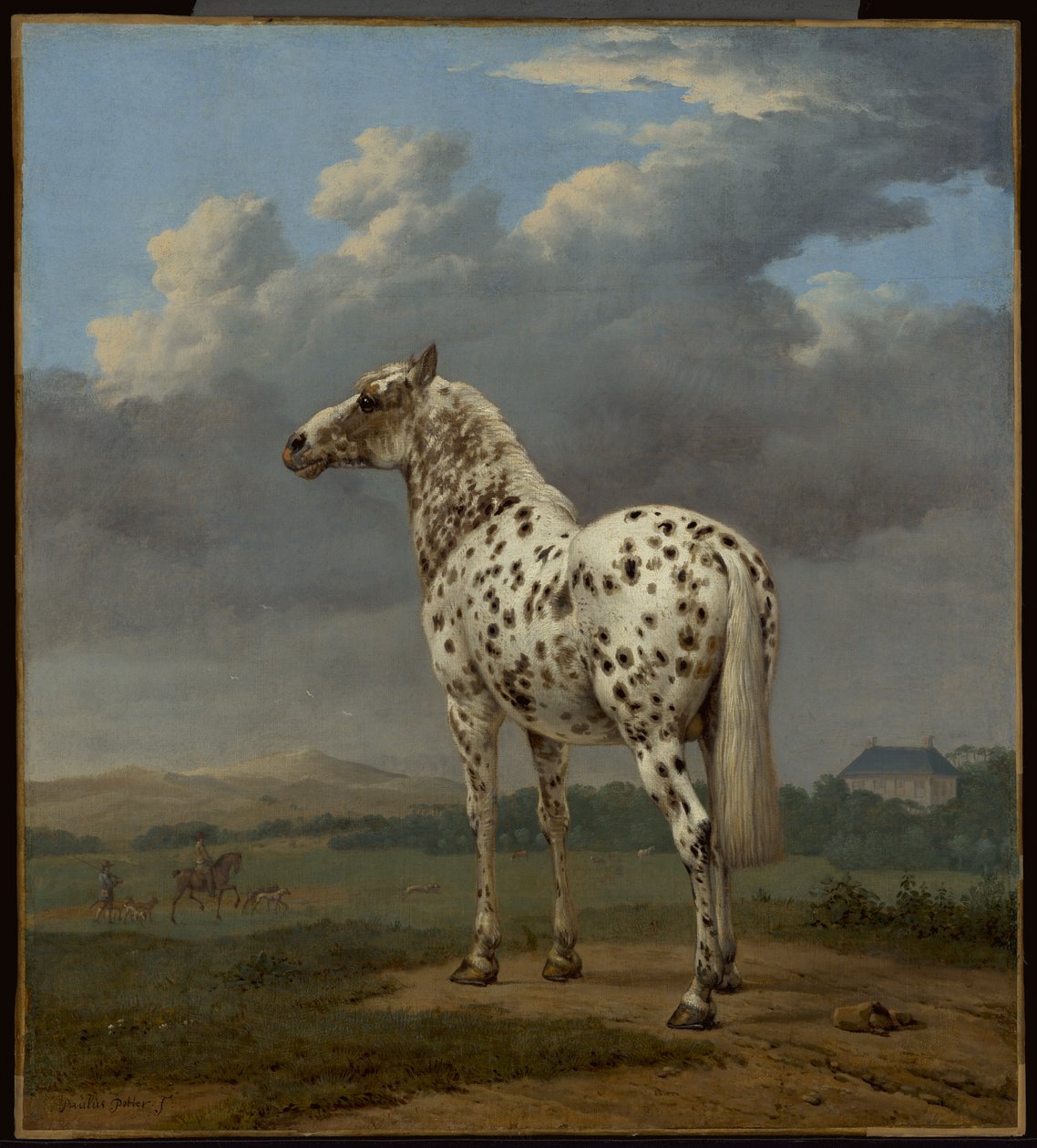 The "Piebald" Horse, ca. 1650-1654 (Olie på lærred) af Paulus Potter