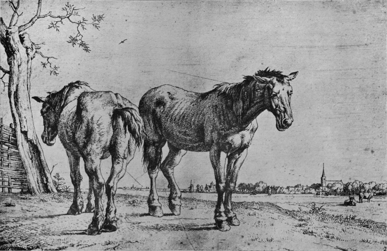 De to plovheste, 1652 af Paulus Potter