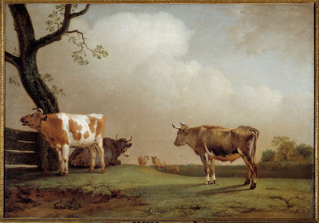 Engen En flok køer i en præ. Maleri af Paul Potter (1625-1654) 1652 søn. 0,84x1,21 m af Paulus Potter