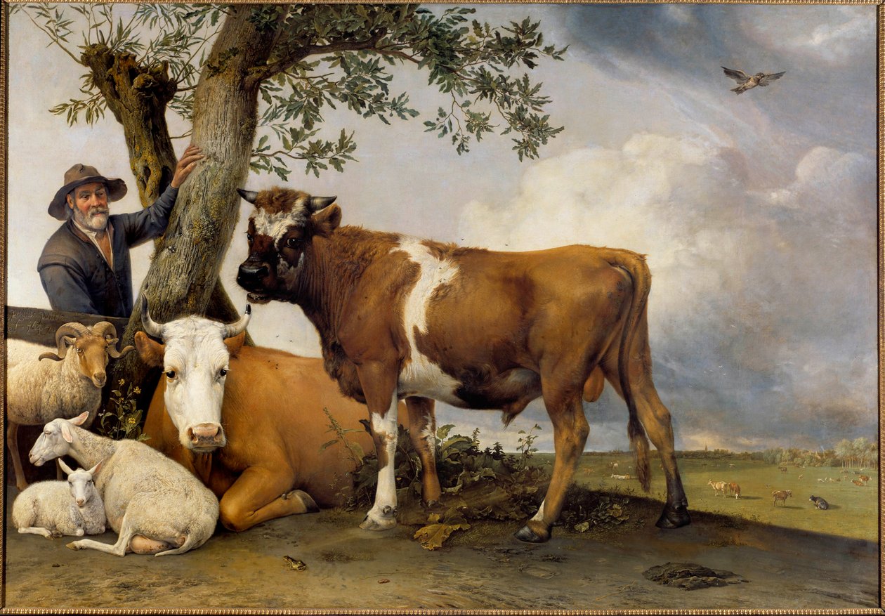 Den unge tyr En hyrde og hans kvæg, belier, lam, ko og tyr. Maleri af Paul Potter (1625-1654) 1647 søn. 2,36x3,39 m Haag. Mauritshuis af Paulus Potter