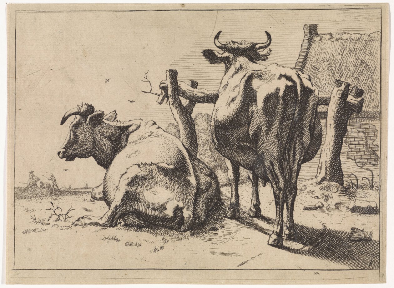 To køer set bagfra The Bullen-hæftet (serietitel) af Paulus Potter