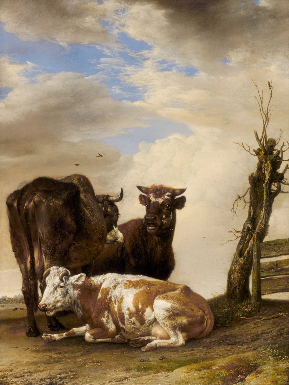To køer og en ung tyr ved siden af et hegn på en eng af Paulus Potter