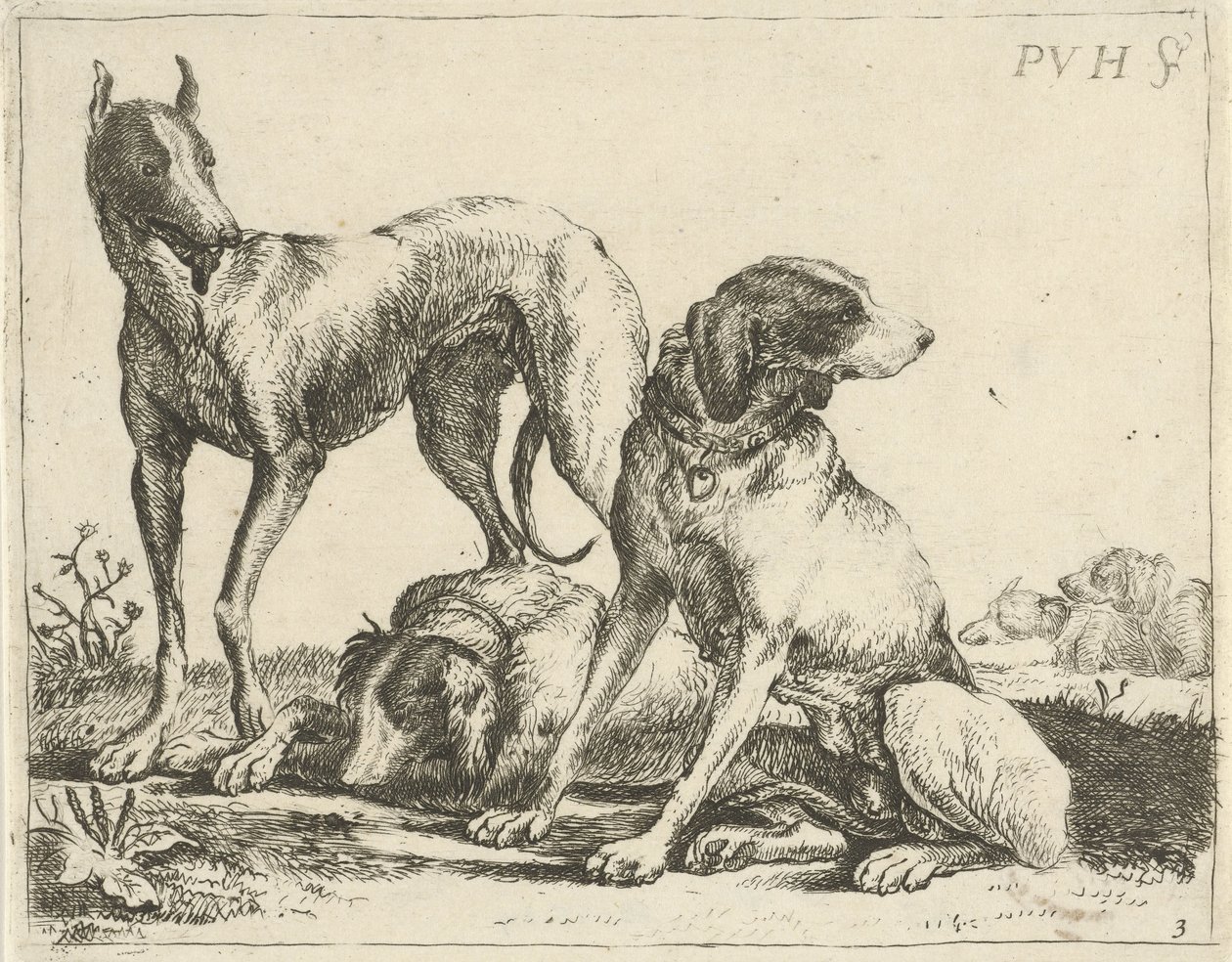 Tre hunde Forskellige hunde (serietitel) af Pauwels van Hillegaert
