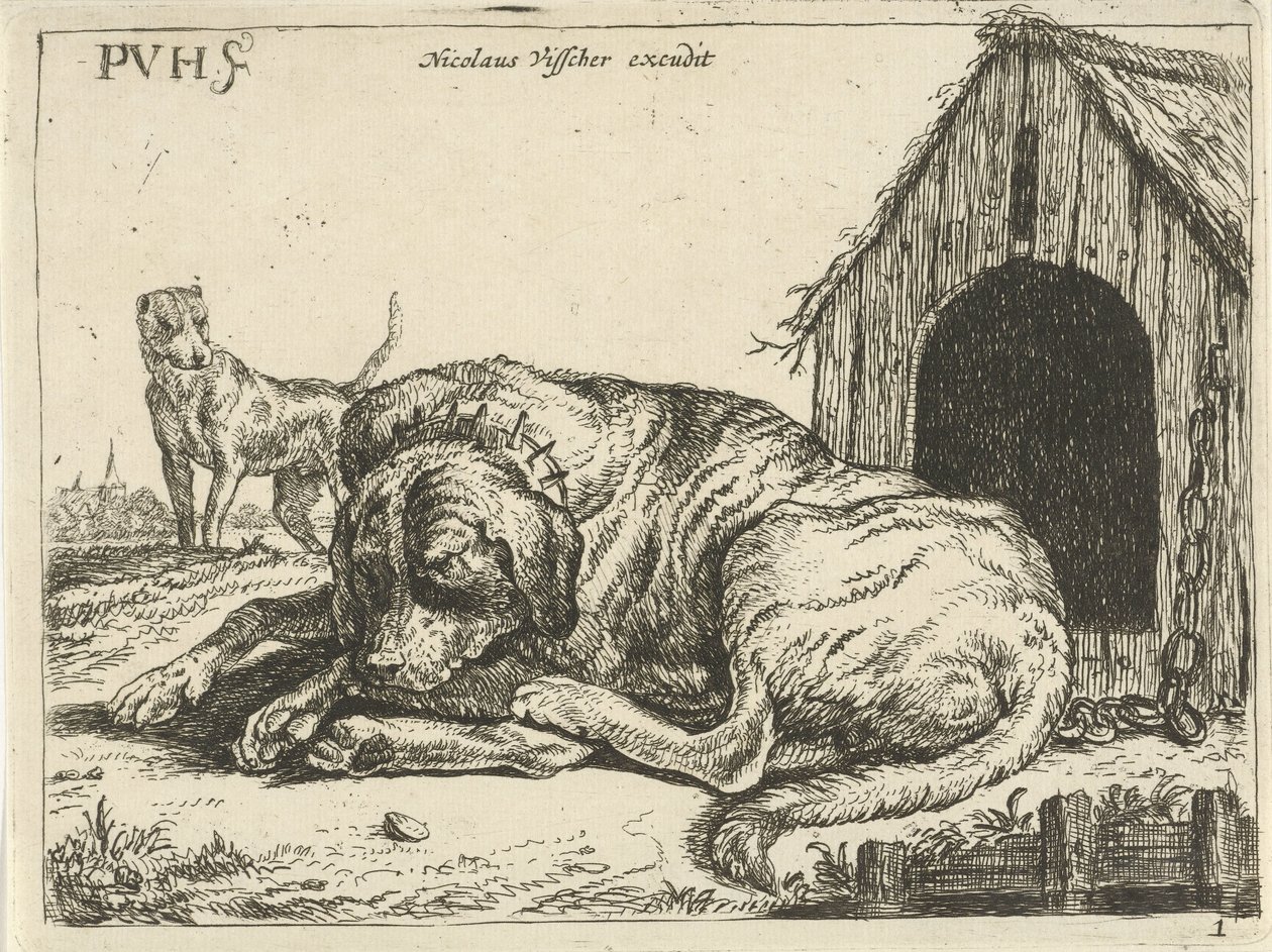 Tillænet hund på en kæde Forskellige hunde (serietitel) af Pauwels van Hillegaert