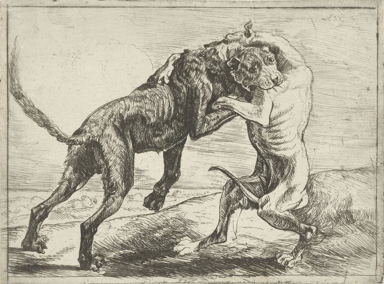 To kamphunde Hunde (serietitel) af Pauwels van Hillegaert