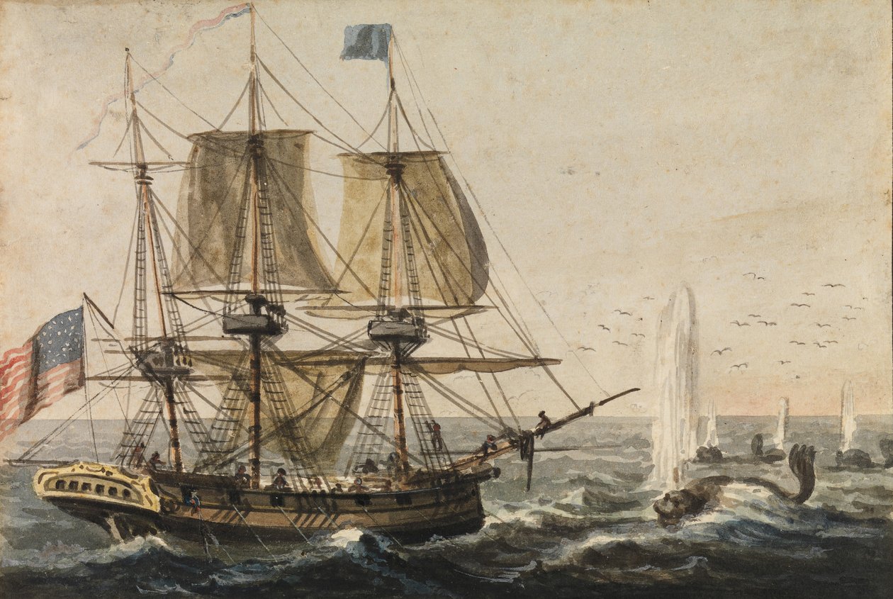 Genopfyldning af skibskammeret med torsk ud for Newfoundlandskysten, 1811-ca. 1813. af Pavel Petrovic Svin