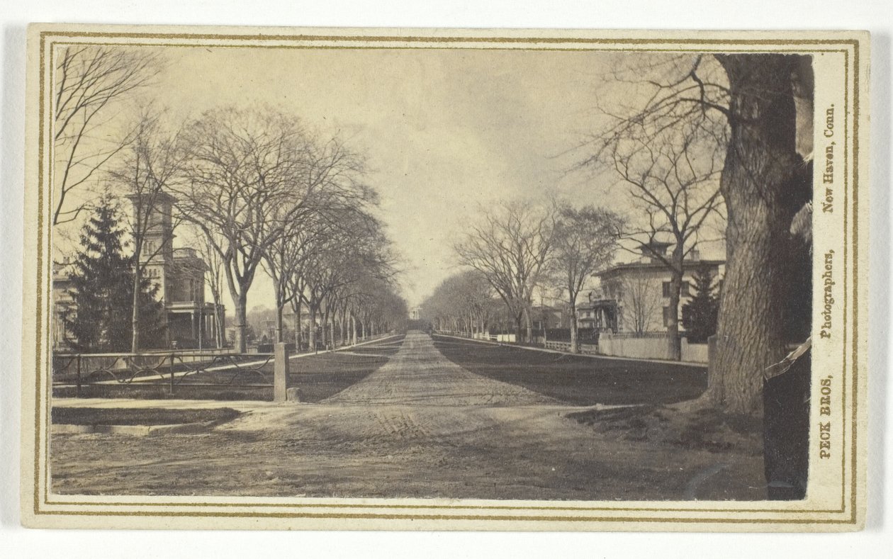 Hillhouse Avenue af Peck Brothers