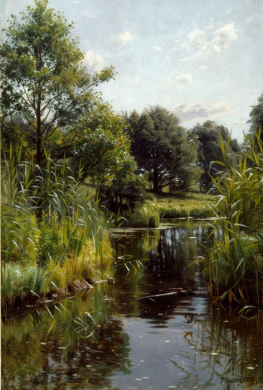 Siv på søen af Peder Monsted