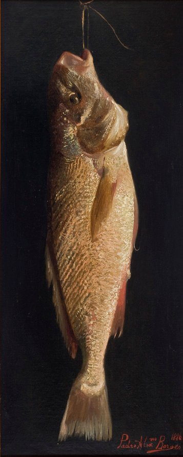 FishnPortugues: Fisk af Pedro Alexandrino Borges