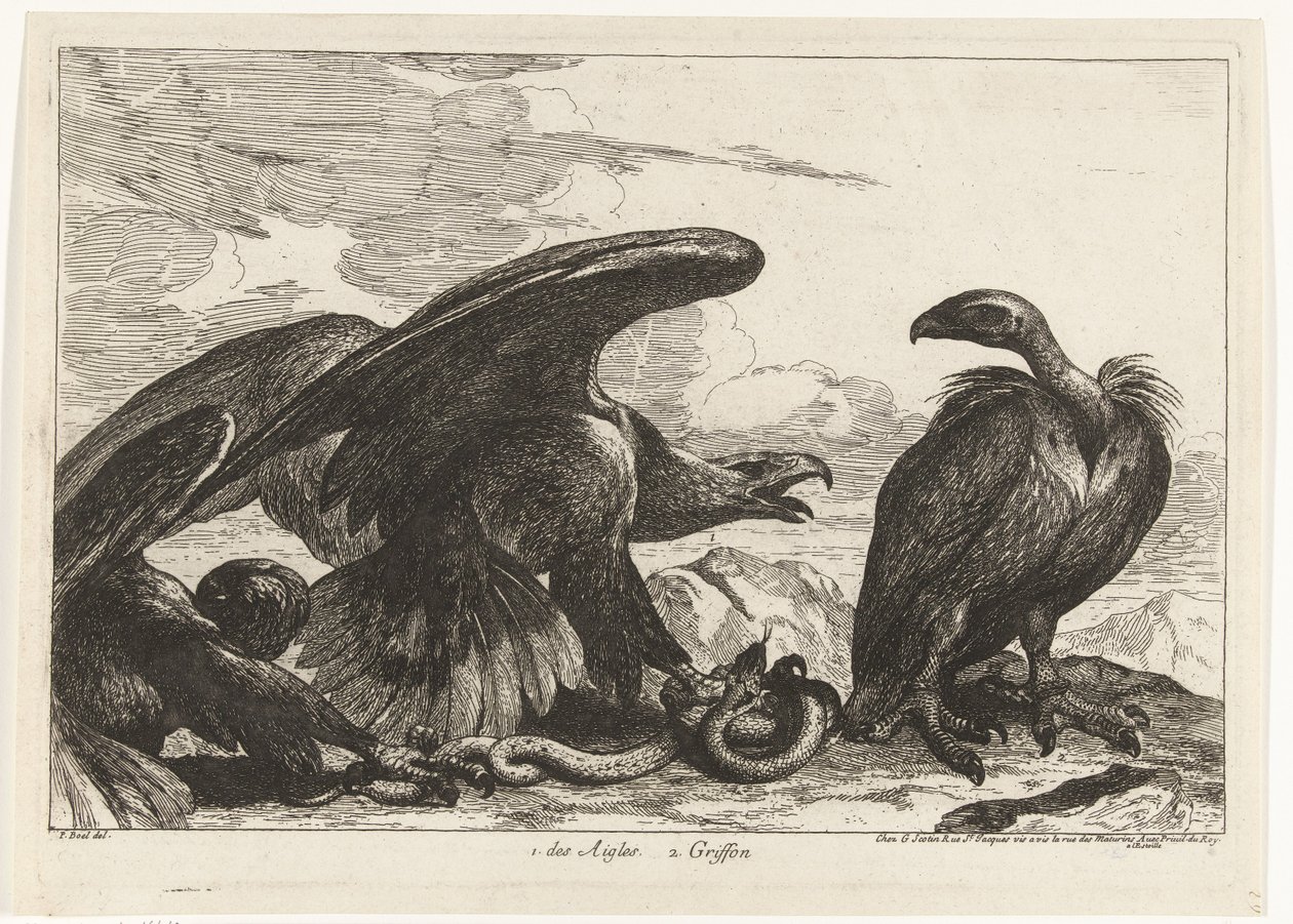 Grib og en ørn med slange 1. des Aigles 2. Griffon (titel på objekt) Fugle fra menageriet i Versailles (serietitel) af Peeter Boel (attributed to)