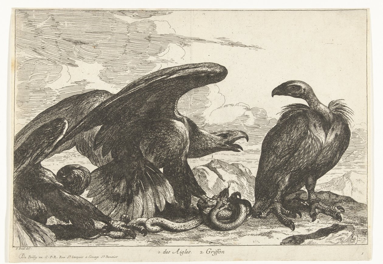 Grib og en ørn med slange 1. des Aigles 2. Griffon (titel på objekt) Fugle fra menageriet i Versailles (serietitel) af Peeter Boel (attributed to)